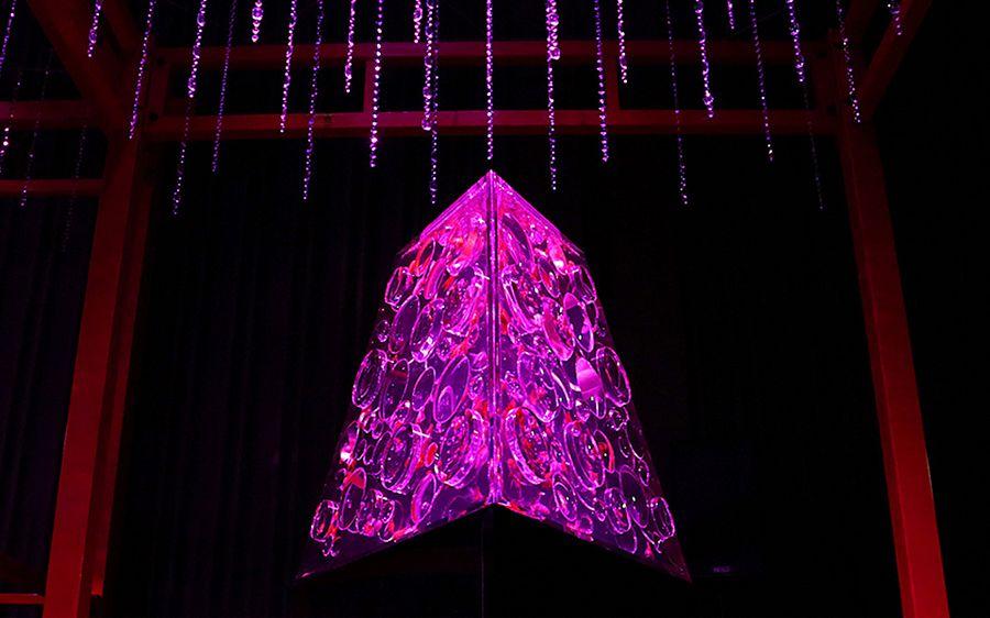 Art Aquarium Exhibition Photos in Tokyo