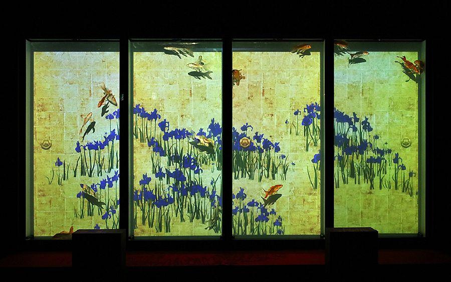 Art Aquarium Exhibition Photos in Tokyo