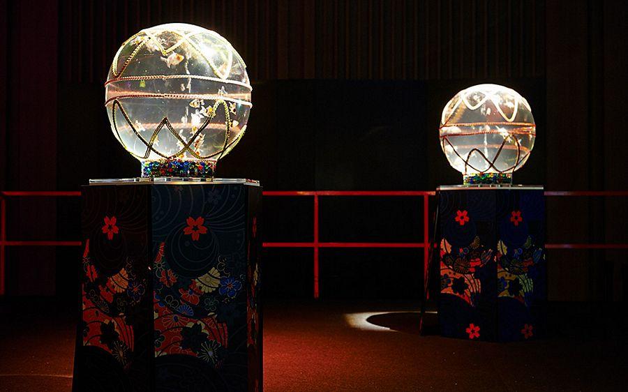 Art Aquarium Exhibition Photos in Tokyo