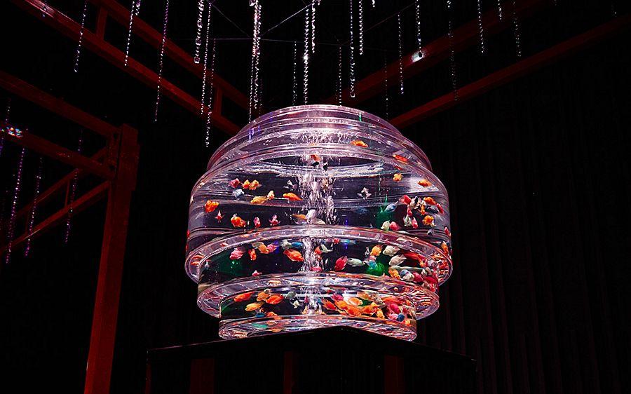 Art Aquarium Exhibition Photos in Tokyo