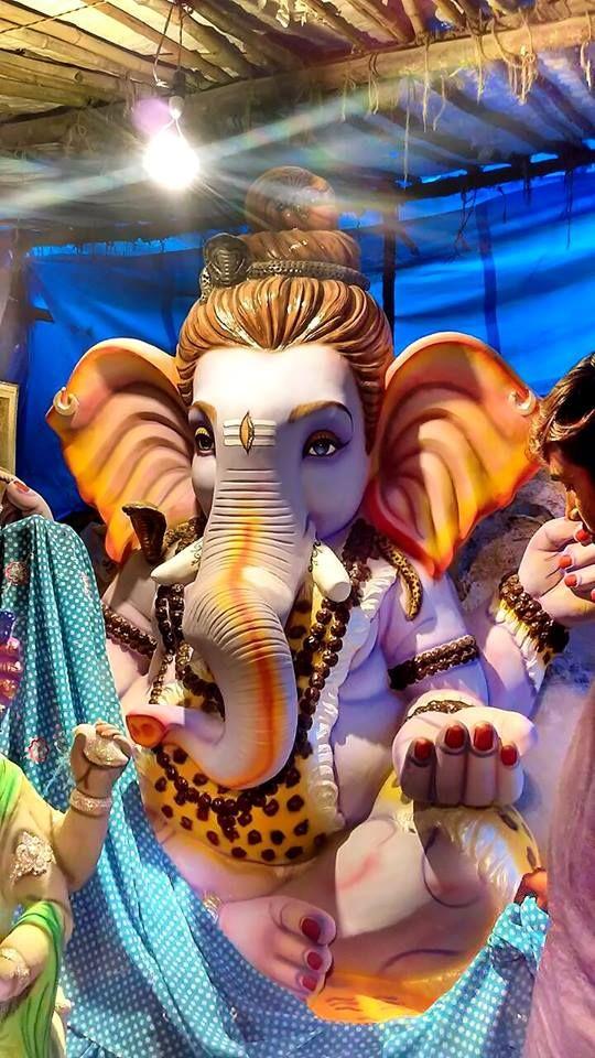 Dhoolpet Ganesh 2016 Collection Photos