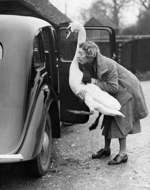 Funny Vintage Photos That Can't be Explained about Women