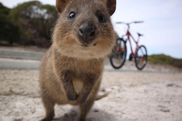 Happiest Photos Ever Taken Will Make You Happy