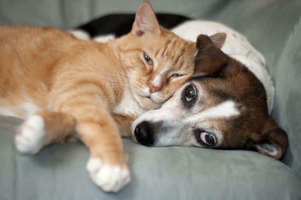 Happiest Photos Ever Taken Will Make You Happy