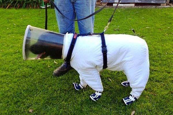 Happiest Photos Ever Taken Will Make You Happy