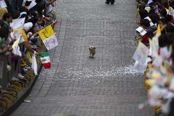 Happiest Photos Ever Taken Will Make You Happy