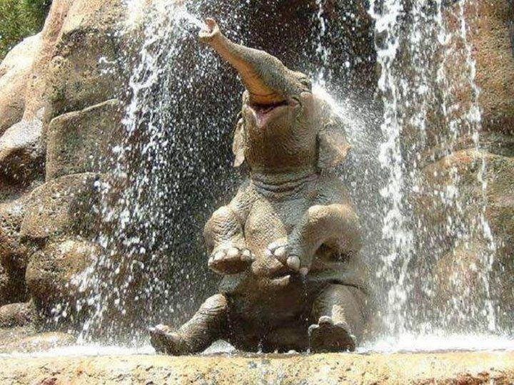 Happiest Photos Ever Taken Will Make You Happy
