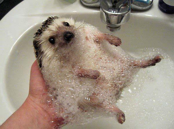 Happiest Photos Ever Taken Will Make You Happy