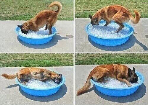 Happiest Photos Ever Taken Will Make You Happy