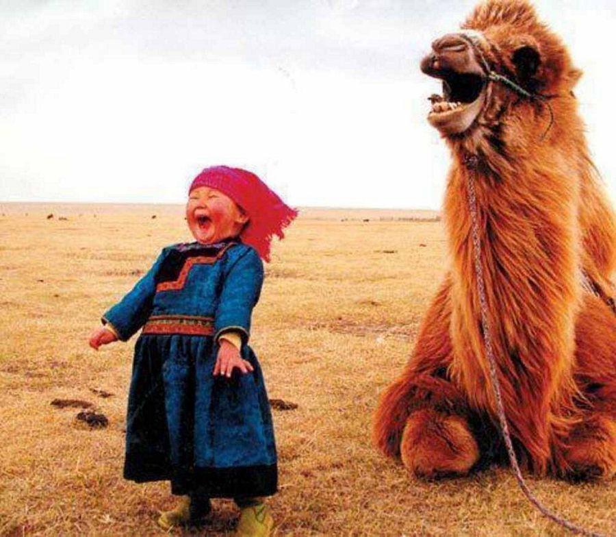 Happiest Photos Ever Taken Will Make You Happy