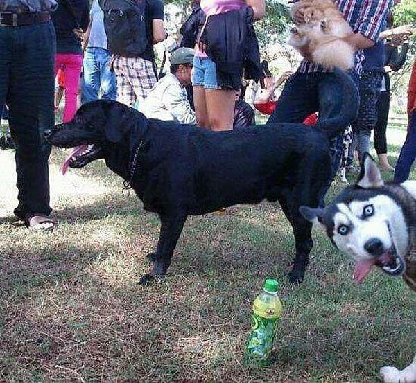 Happiest Photos Ever Taken Will Make You Happy