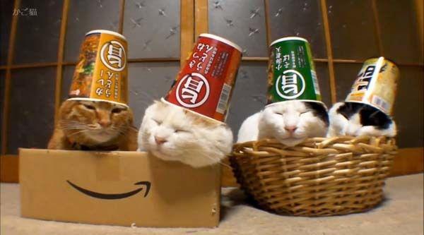 Happiest Photos Ever Taken Will Make You Happy