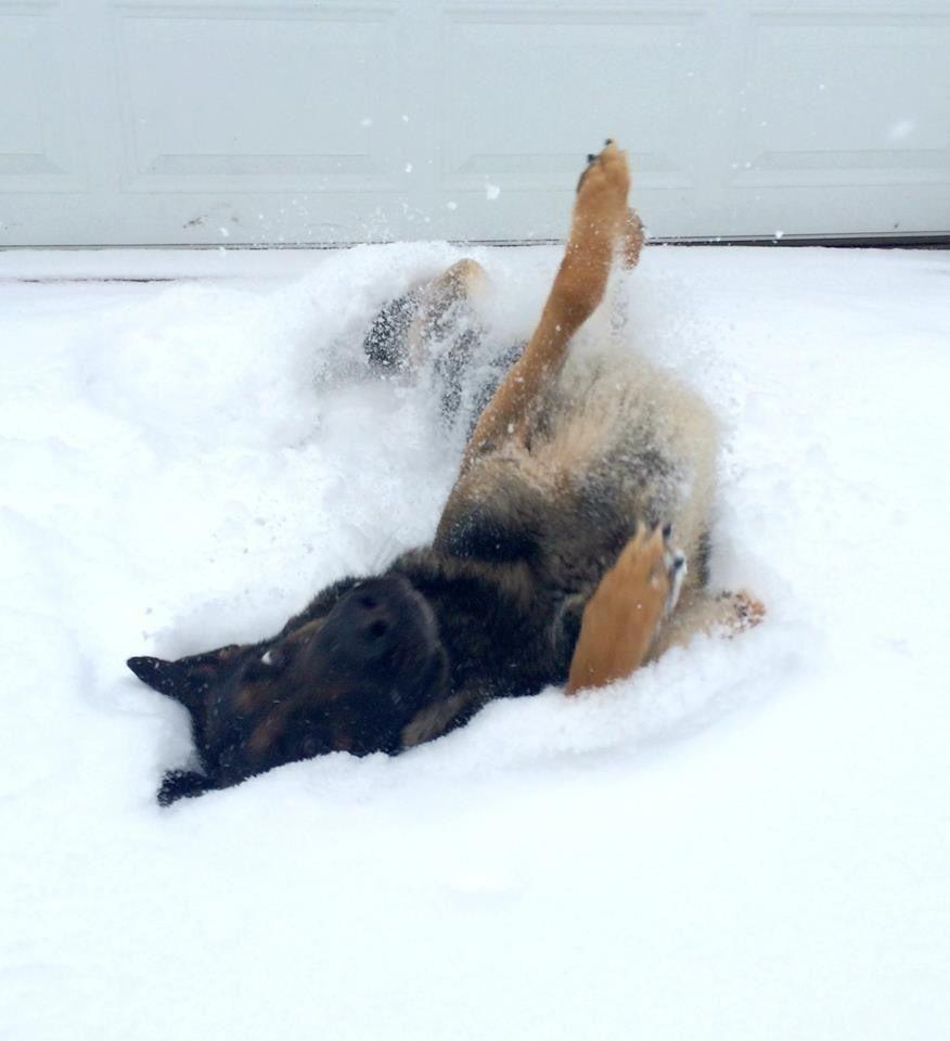 Happiest Photos Ever Taken Will Make You Happy