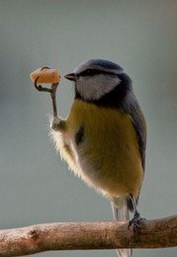 Happiest Photos Ever Taken Will Make You Happy