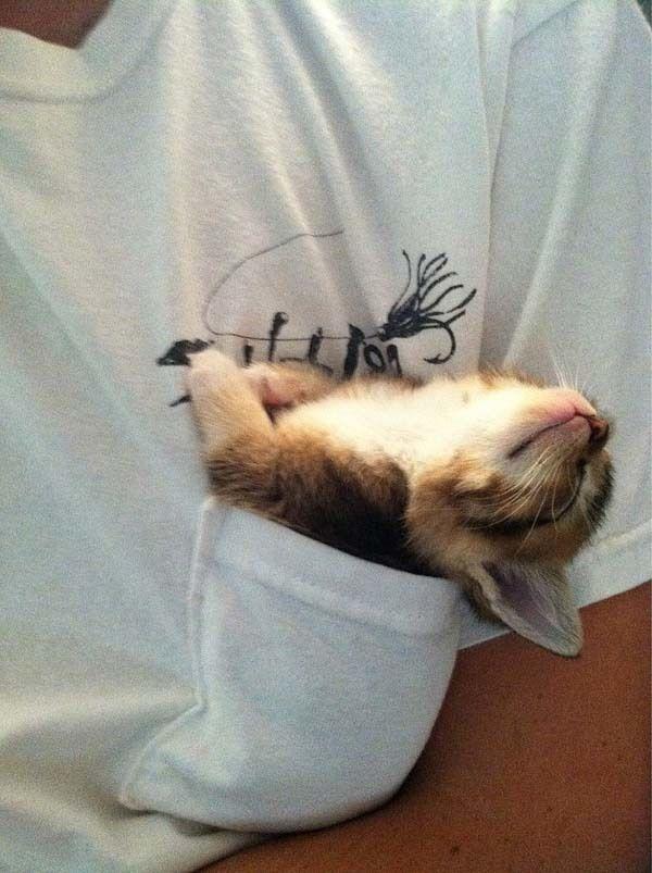 Happiest Photos Ever Taken Will Make You Happy
