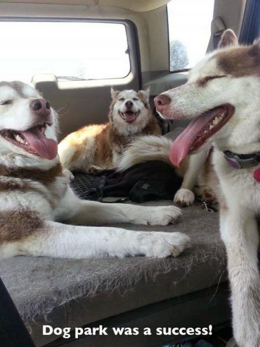 Happiest Photos Ever Taken Will Make You Happy