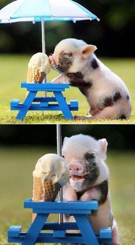 Happiest Photos Ever Taken Will Make You Happy
