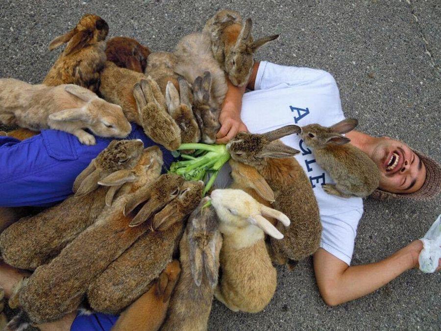 Happiest Photos Ever Taken Will Make You Happy