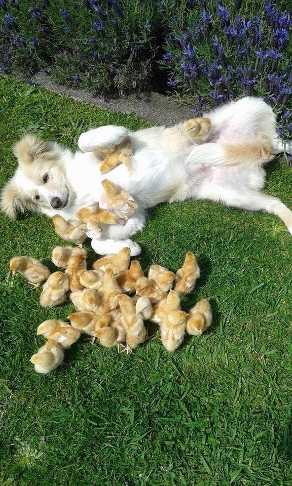 Happiest Photos Ever Taken Will Make You Happy