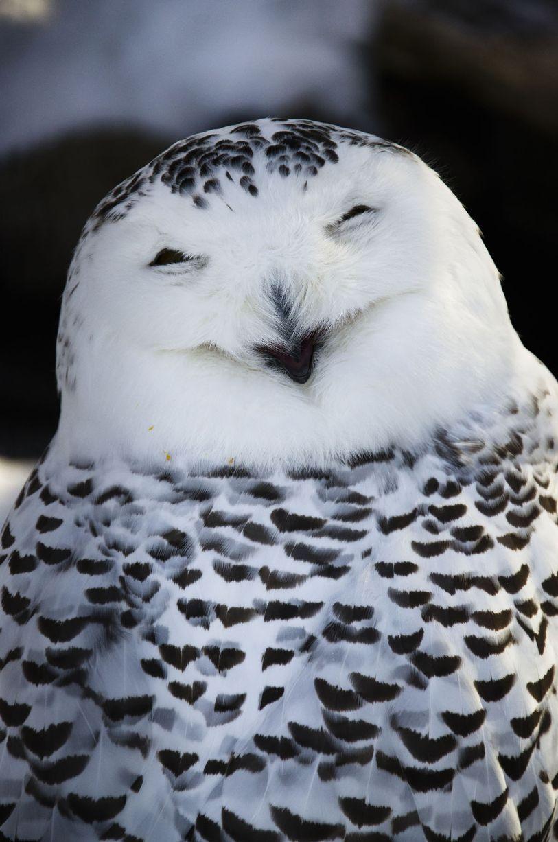 Happiest Photos Ever Taken Will Make You Happy