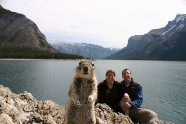 Happiest Photos Ever Taken Will Make You Happy