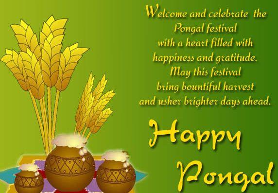 Happy Sankranti Images 2017 & Greeetings