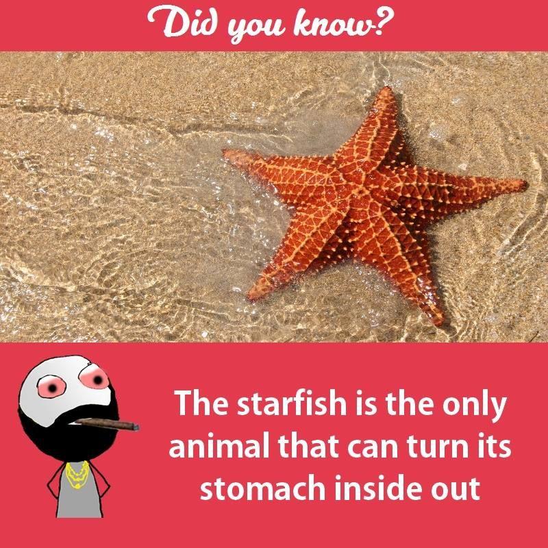 Interesting facts about animals