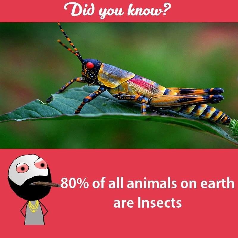 Interesting facts about animals