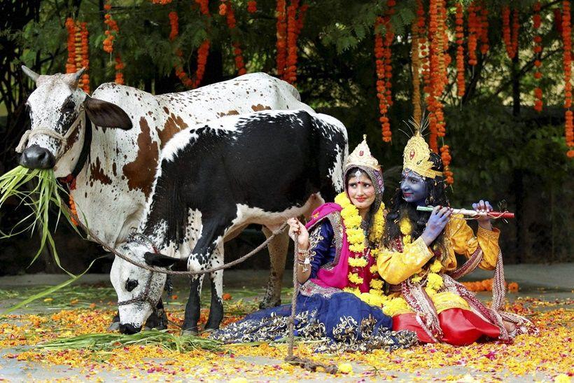Krishnashtami Celebrations 2017 Photos
