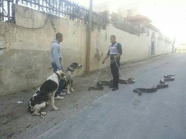 Late Night Pics To Wrap Up The Weekend