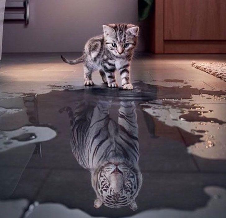 Late Night Pics To Wrap Up The Weekend