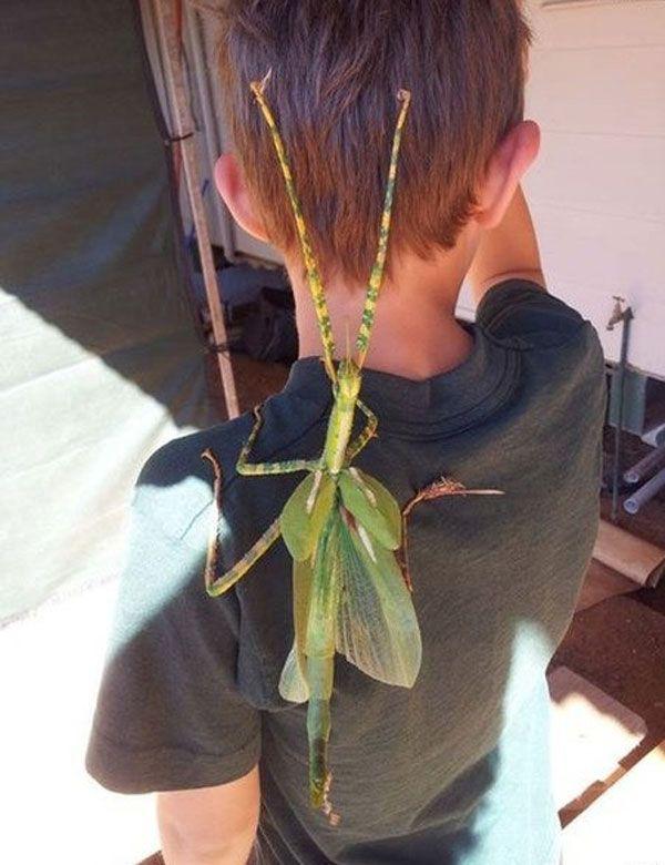 Late Night Pics To Wrap Up The Weekend