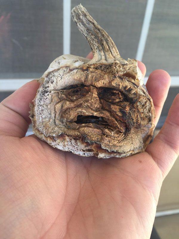 Late Night Pics To Wrap Up The Weekend