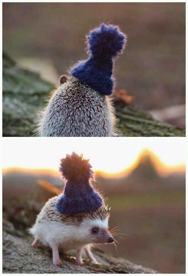 Late Night Pics To Wrap Up The Weekend