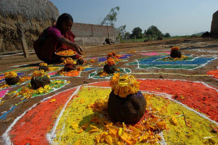 Makar Sankranti Celebrations 2017 Photos