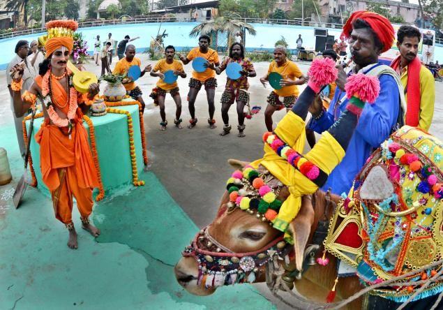 Makar Sankranti Celebrations 2017 Photos