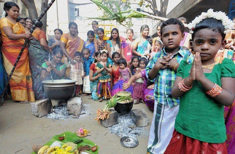 Makar Sankranti Celebrations 2017 Photos