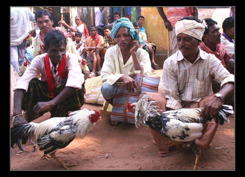 Makar Sankranti Celebrations 2017 Photos