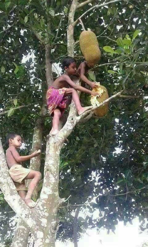 Olden days Rare and Unseened Photoss