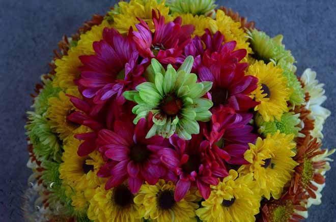 PHOTOS: Bathukamma Festival Celebrations