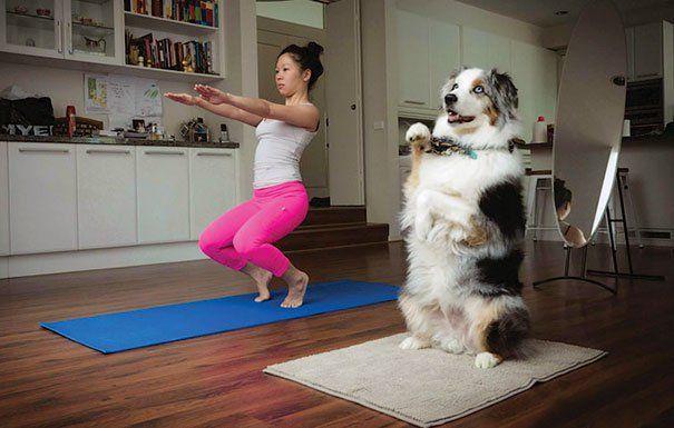 Photos Of Animals That Do Yoga Better Than You