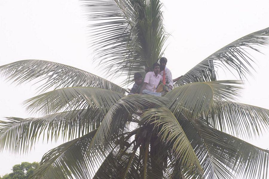 Power Star Pawan Kalyan Latest Photos at Kakinada