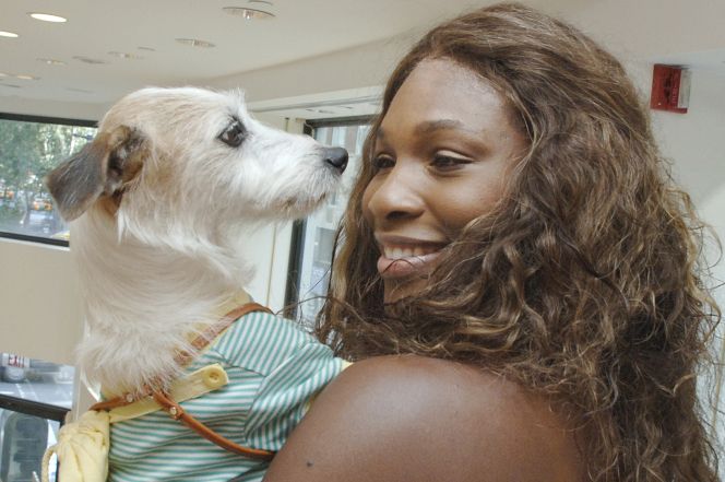 Sports Celebrities With Their Pets