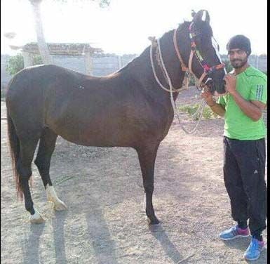 Sports Celebrities With Their Pets