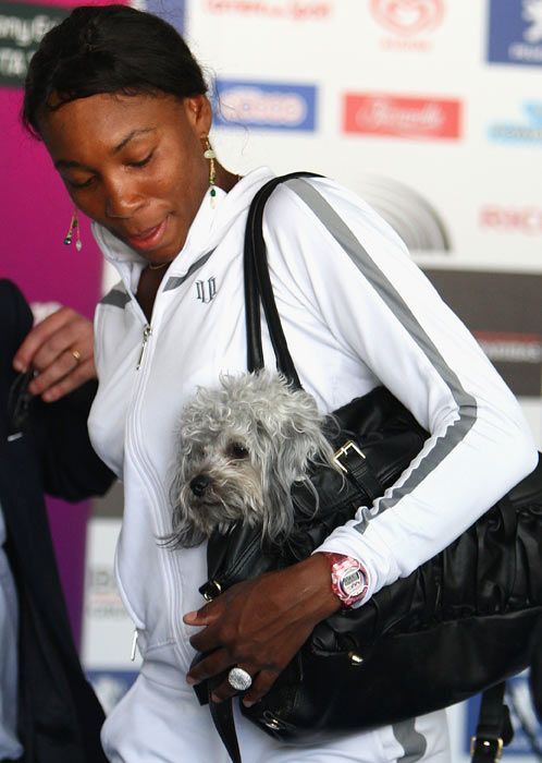 Sports Celebrities With Their Pets