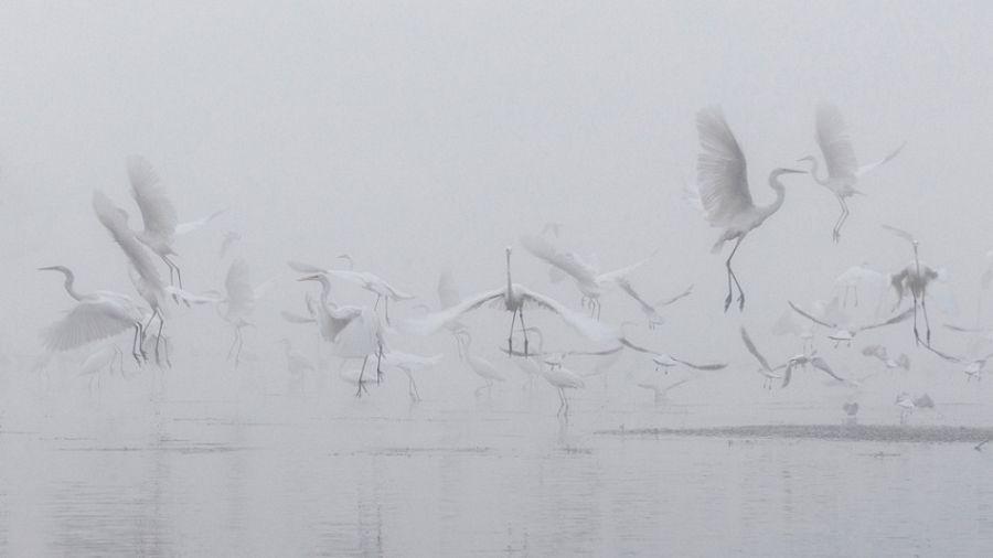 The 100 best photographs ever taken without photoshop