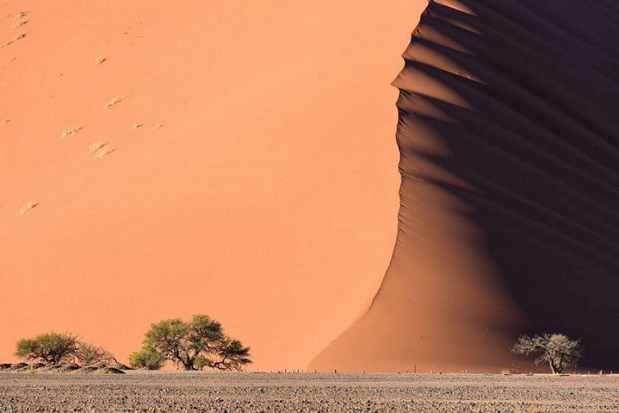 The 100 best photographs ever taken without photoshop