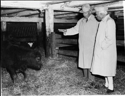 UNSEEN Vintage Photos that capture the past of India