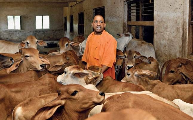 YOGI ADITYANATH Rare Photos