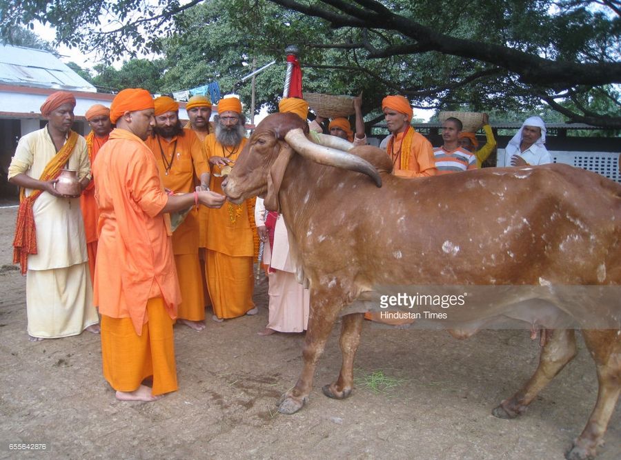 YOGI ADITYANATH Rare Photos